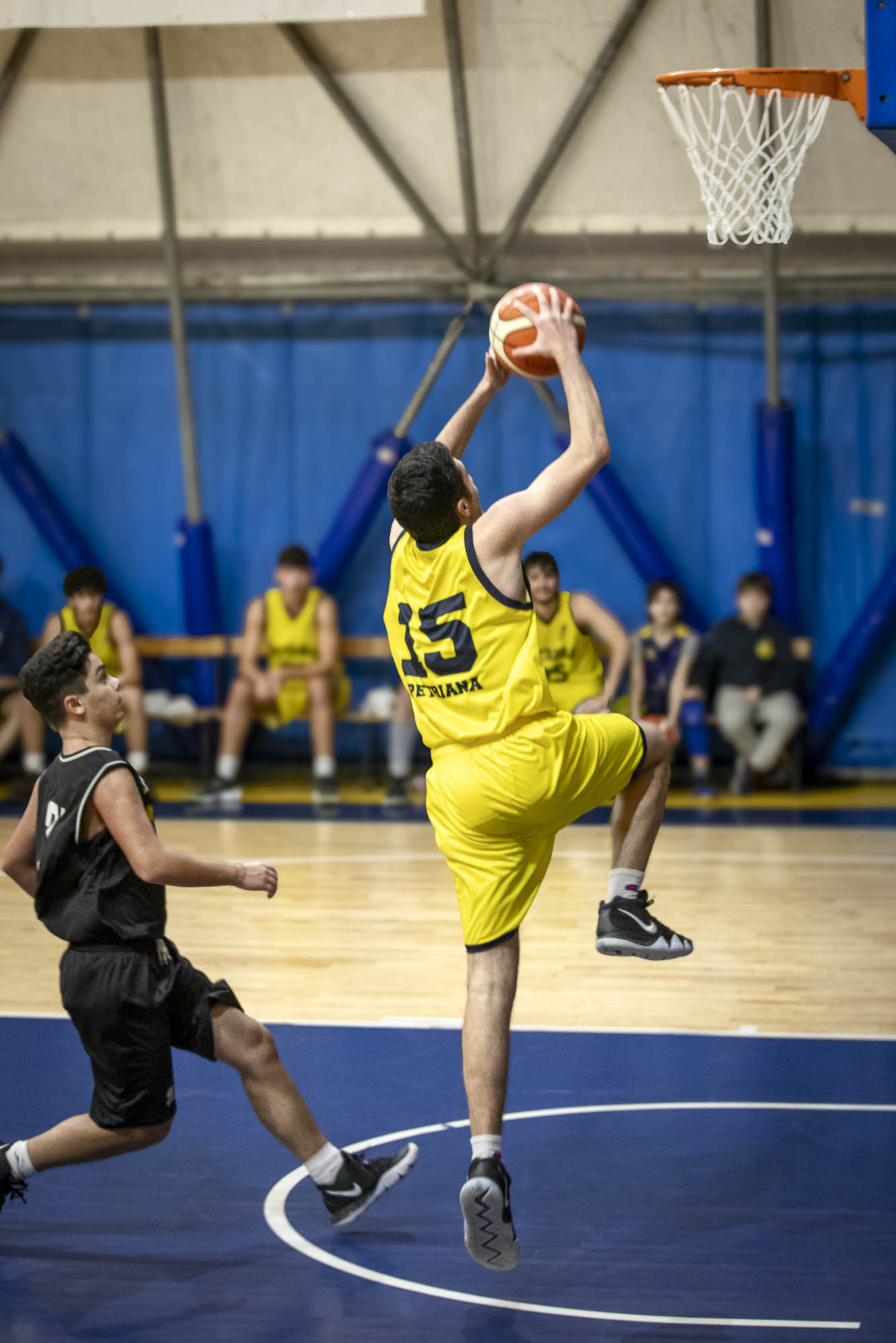 Pallacanestro